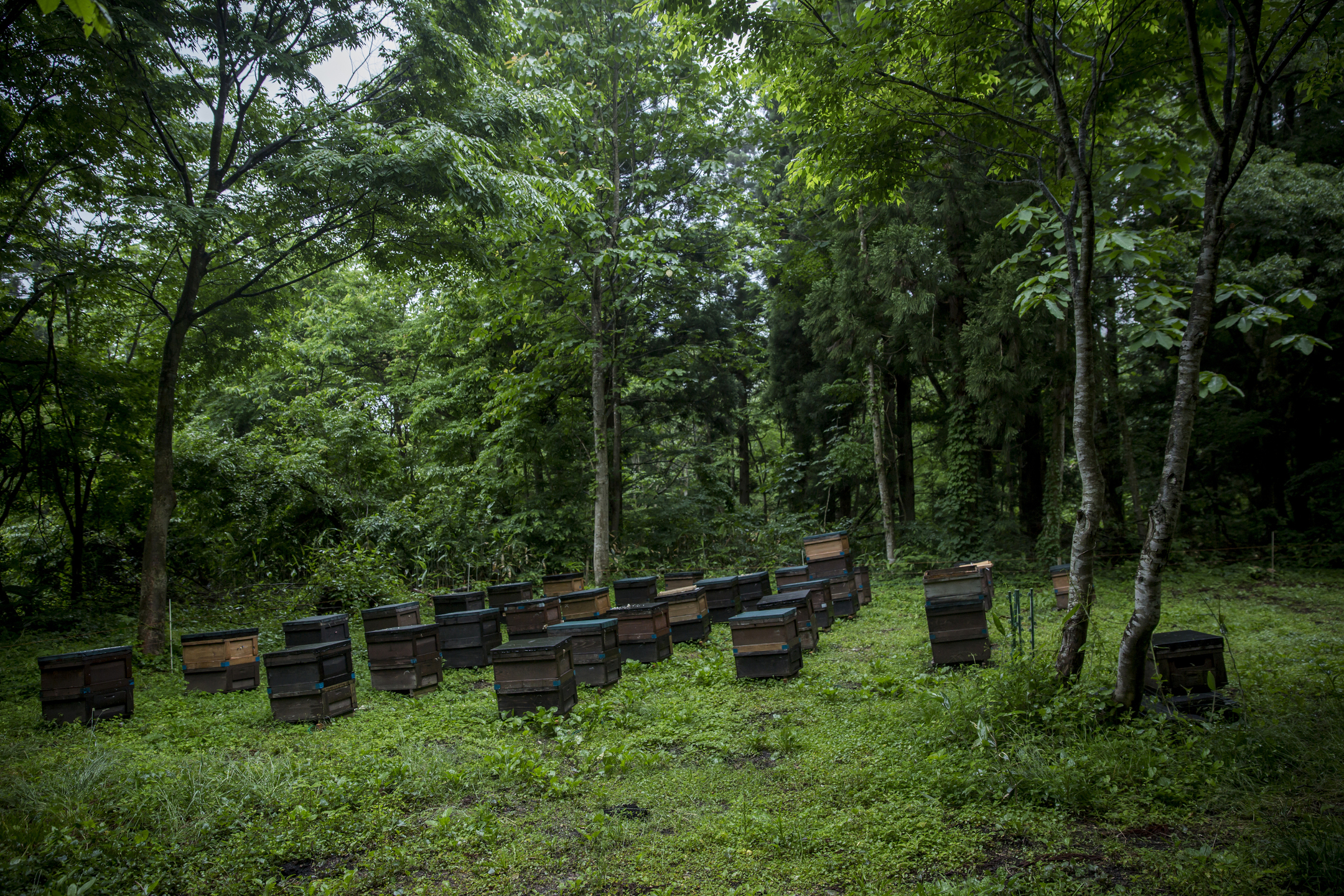 こだわりの品質を守る角館養蜂園