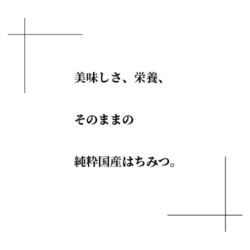 美味しさ、栄養、そのままの国産純粋はちみつ。